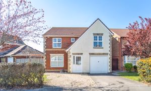 Photo 20- click for photo gallery